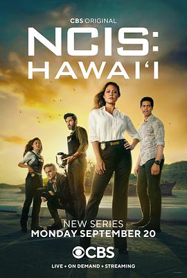 海军罪案调查处：夏威夷 第一季 第19集