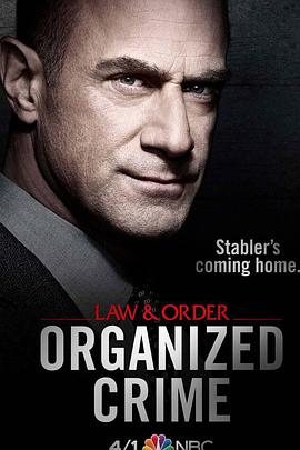 法律与秩序：组织犯罪 第一季 第08集(大结局)