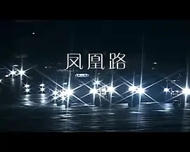 凤凰路 第02集(大结局)